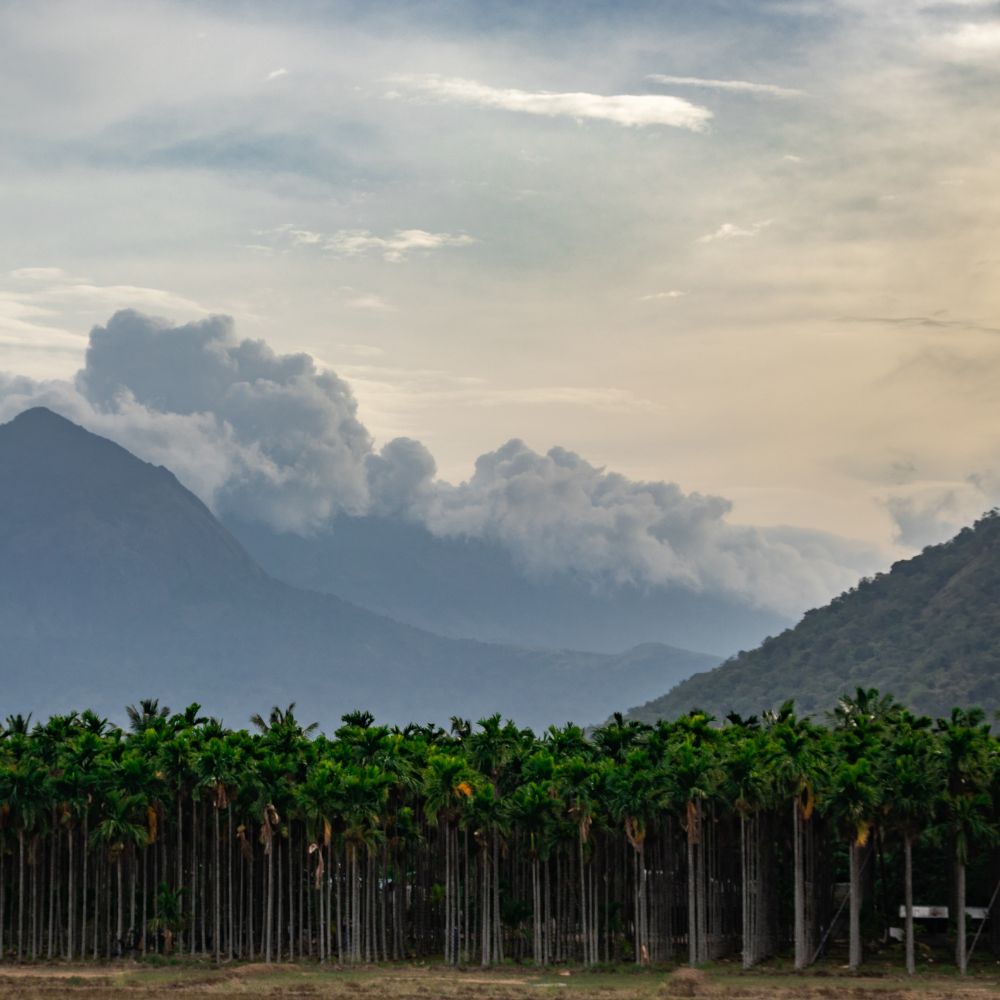 Coimbatore