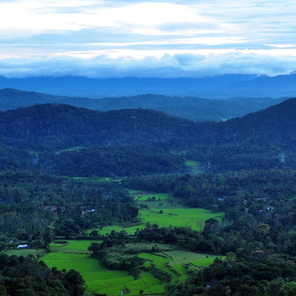 Nature's Bounty in Coorg