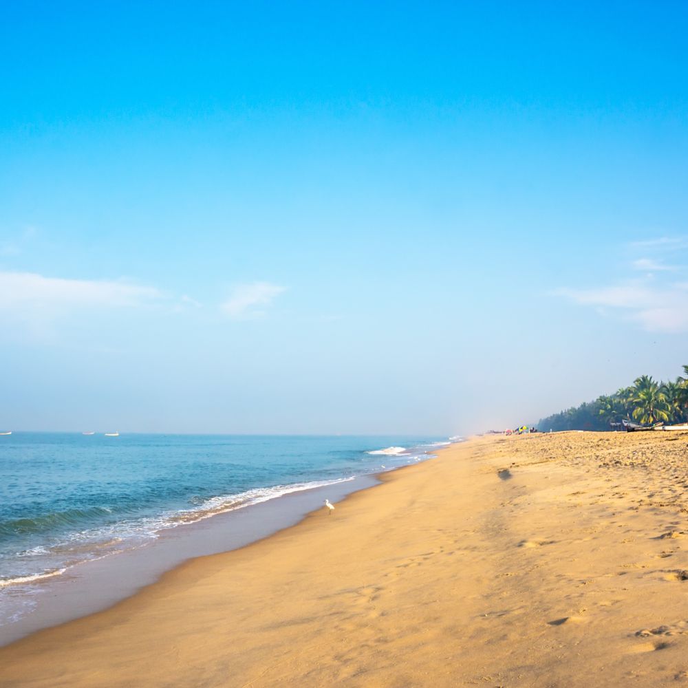 Mararikulam