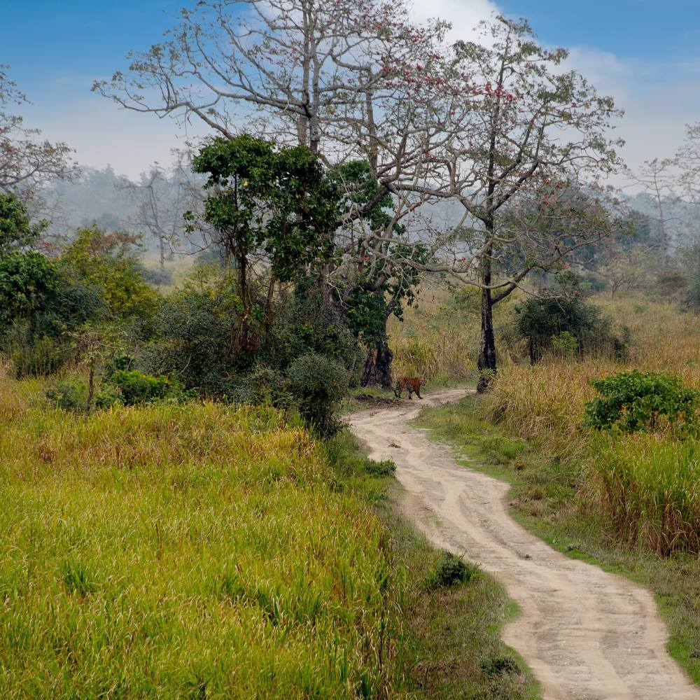 Geography and Landscape
