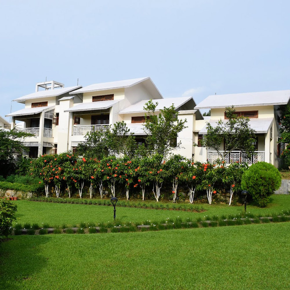 Eco-Friendly Lodging Options for Kaziranga National Park