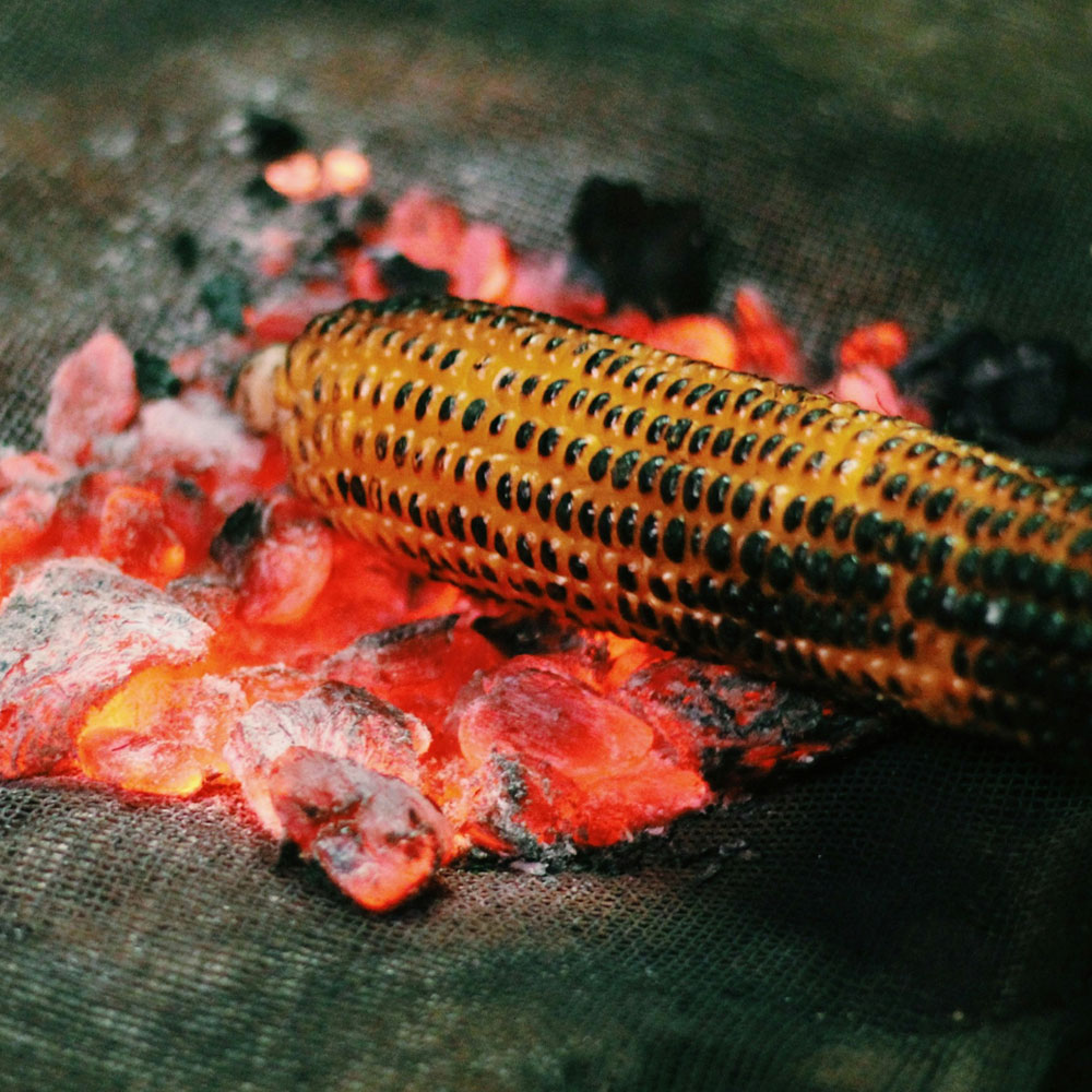 Grilled Corn (Bhutta)