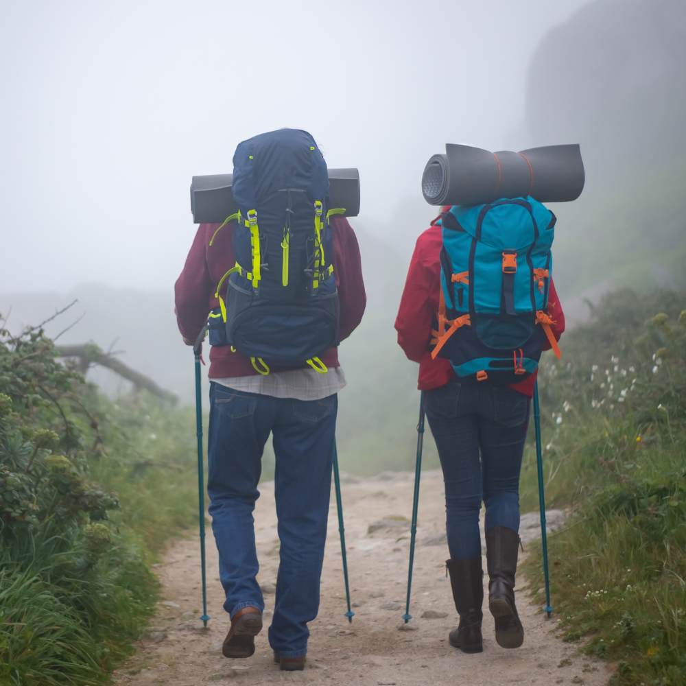 Trekking in Munnar