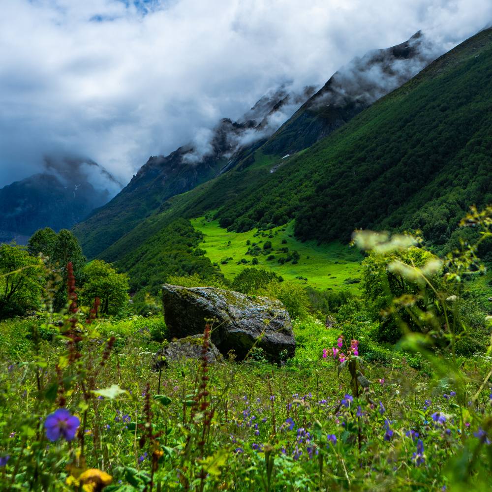 The Historical Discovery of the Valley of Flowers