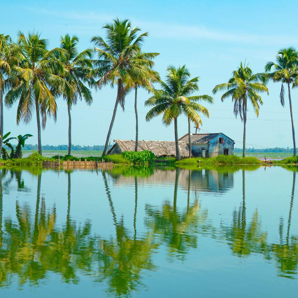 Best Time to Visit Kumarakom