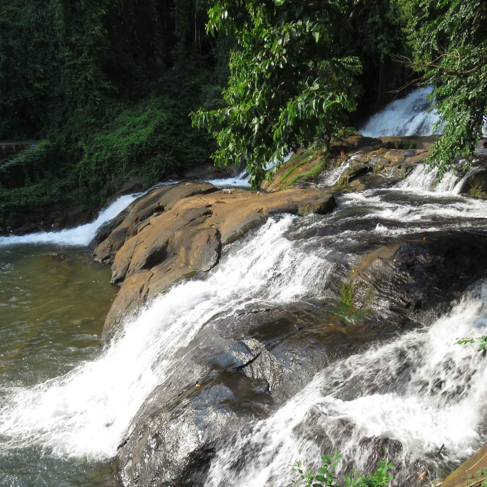 Aruvikkuzhi Waterfall Trek