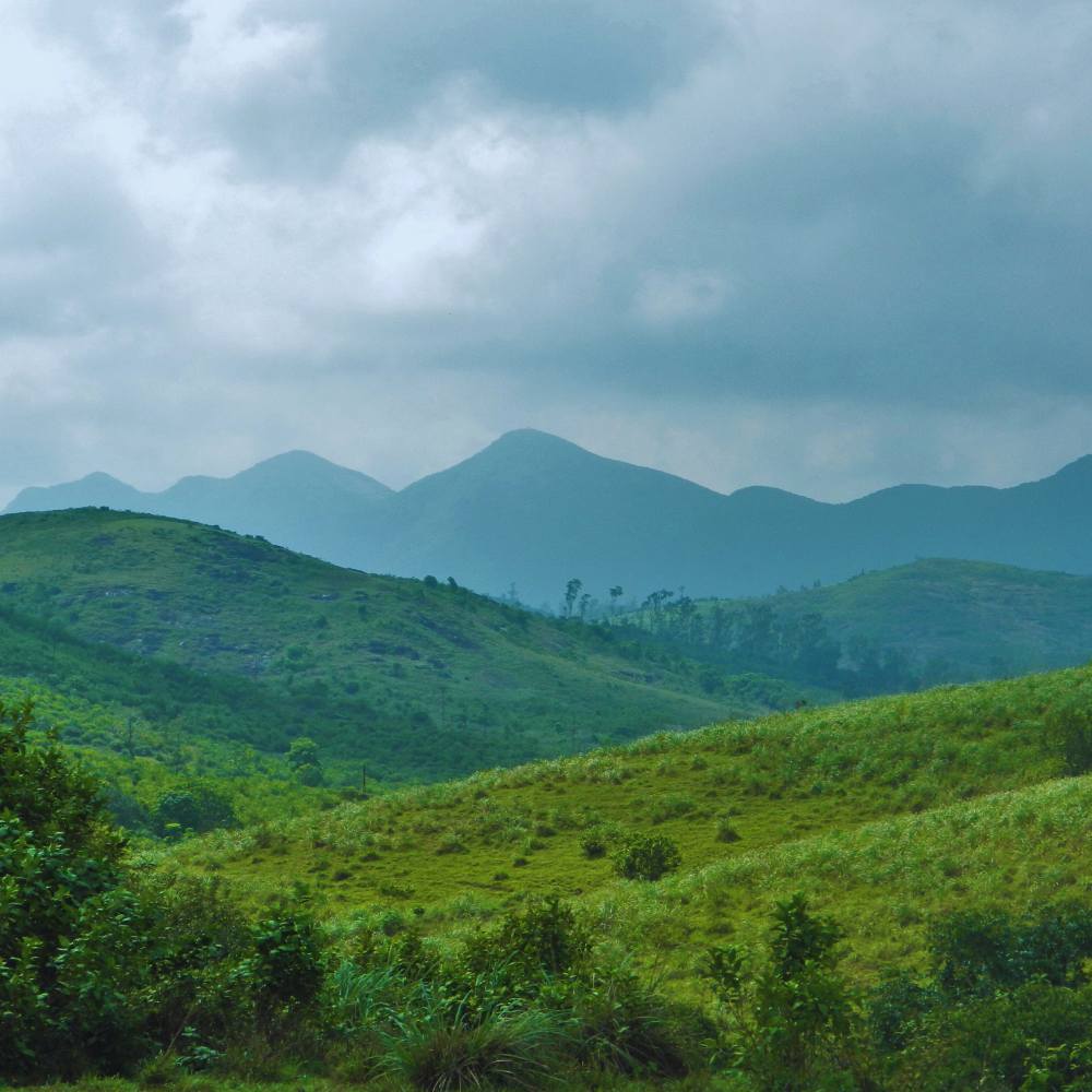 Vagamon Hill Station