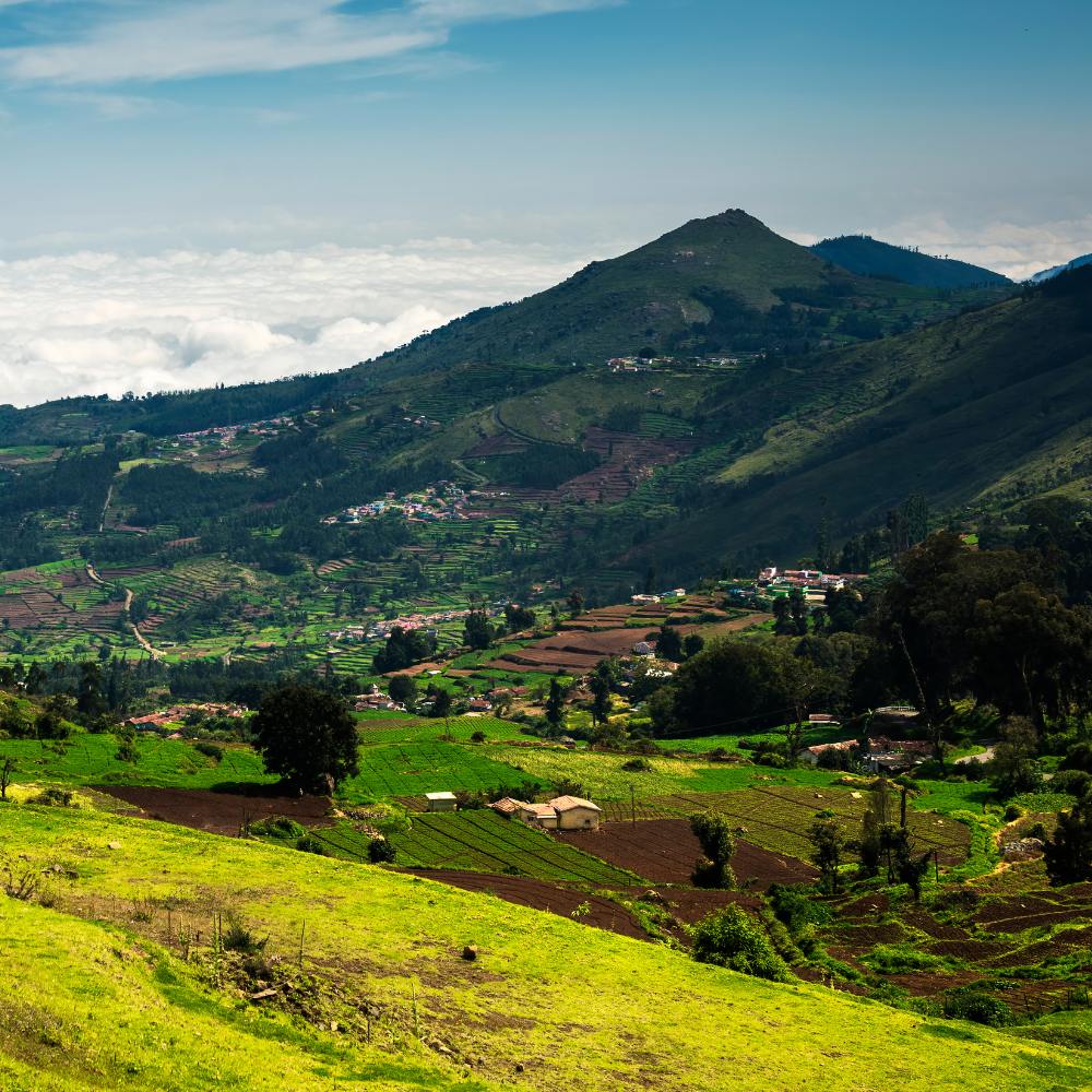 Ooty, Tamil Nadu – The Queen of Hill Stations