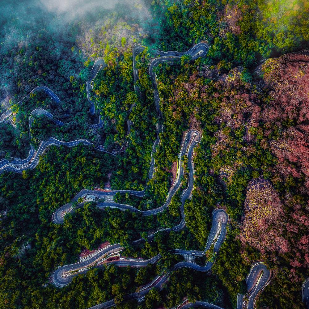 Yercaud, Tamil Nadu – The Poor Man’s Ooty