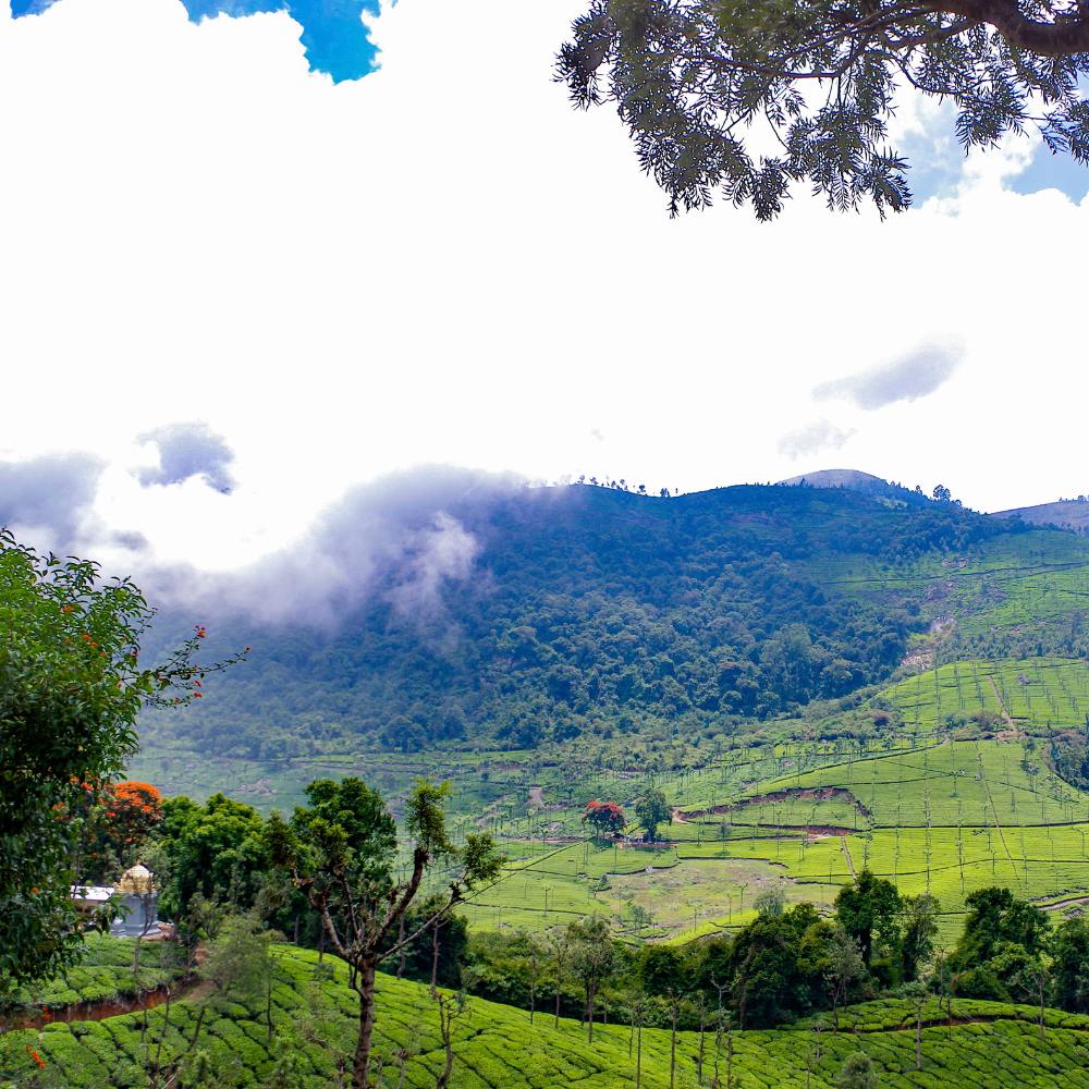 Coonoor, Tamil Nadu – A Tranquil Escape