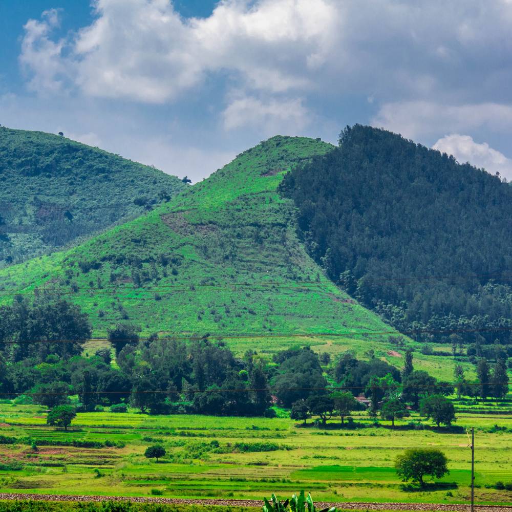 Araku Valley, Andhra Pradesh – The Coffee Heaven