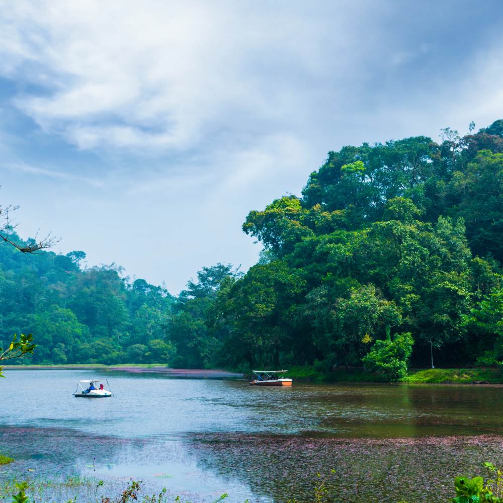 Wayanad: A Hidden Gem in the Western Ghats