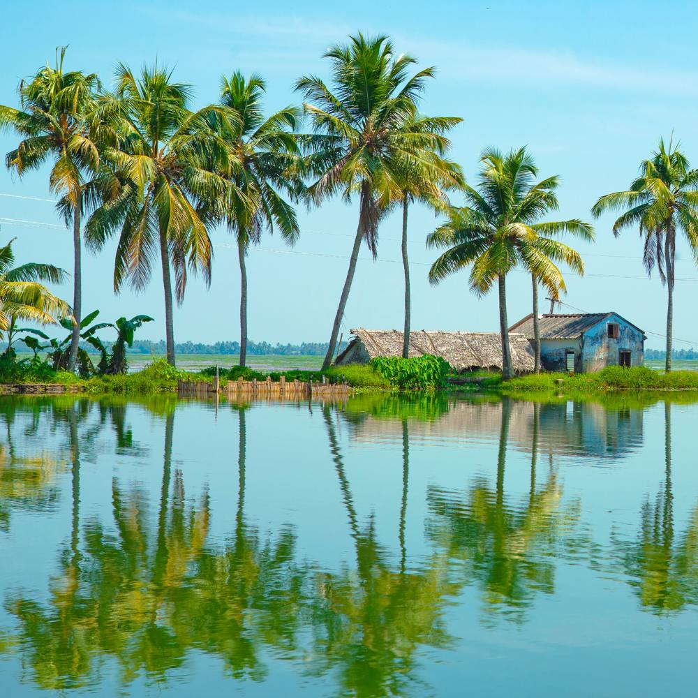 Kumarakom: Serenity on the Backwaters