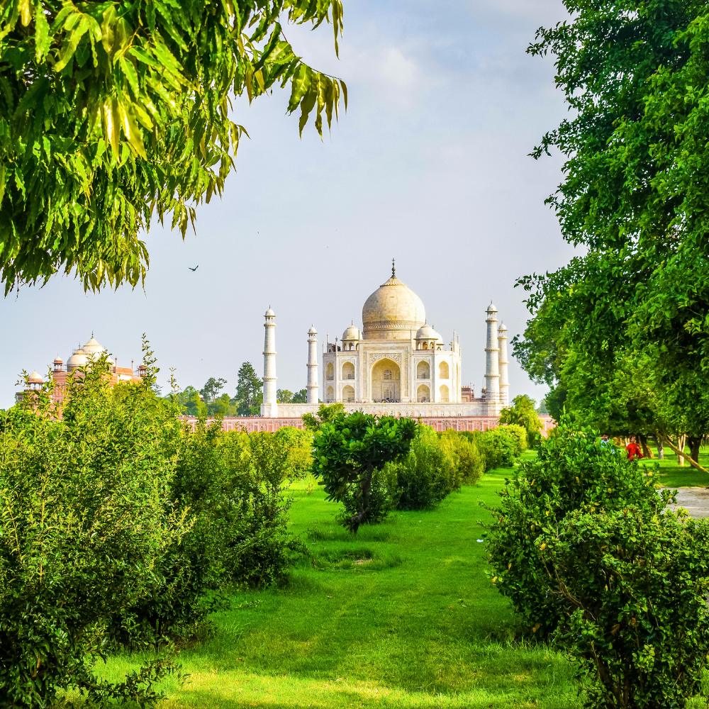 Mehtab Bagh: A Picturesque Retreat