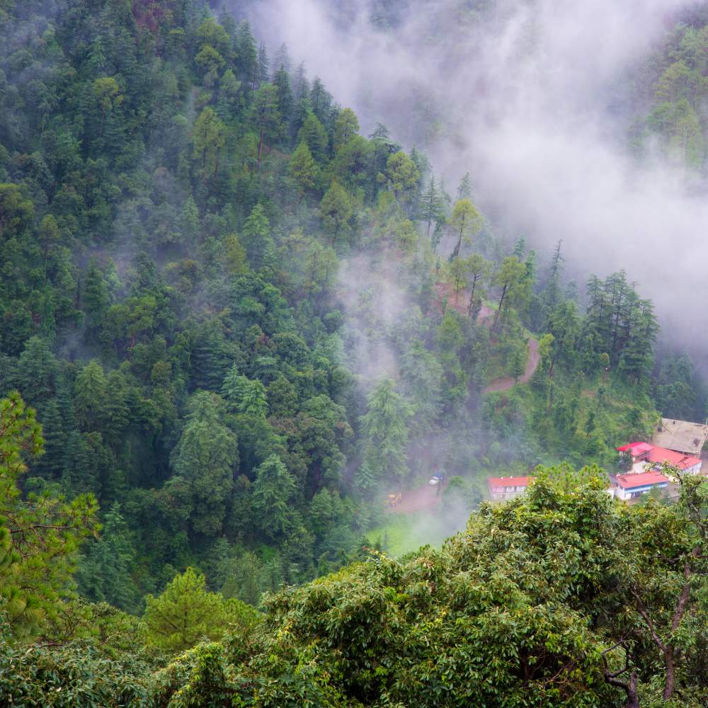 Green Valley: