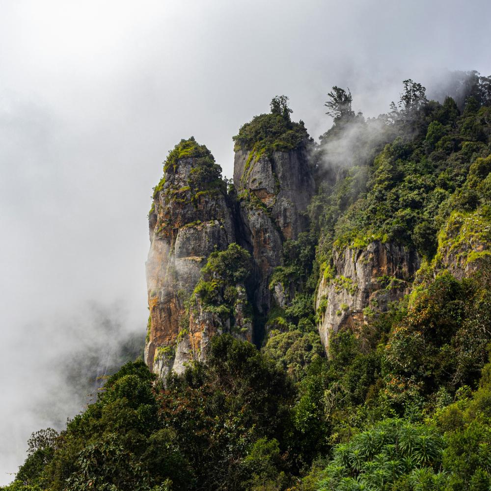 Kodaikanal, Tamil Nadu