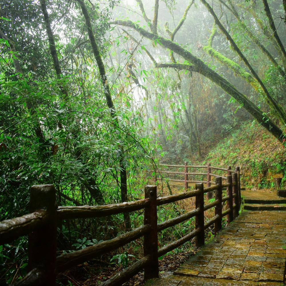 Shillong, Meghalaya: