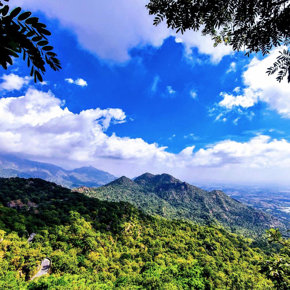 Mount Abu, Rajasthan