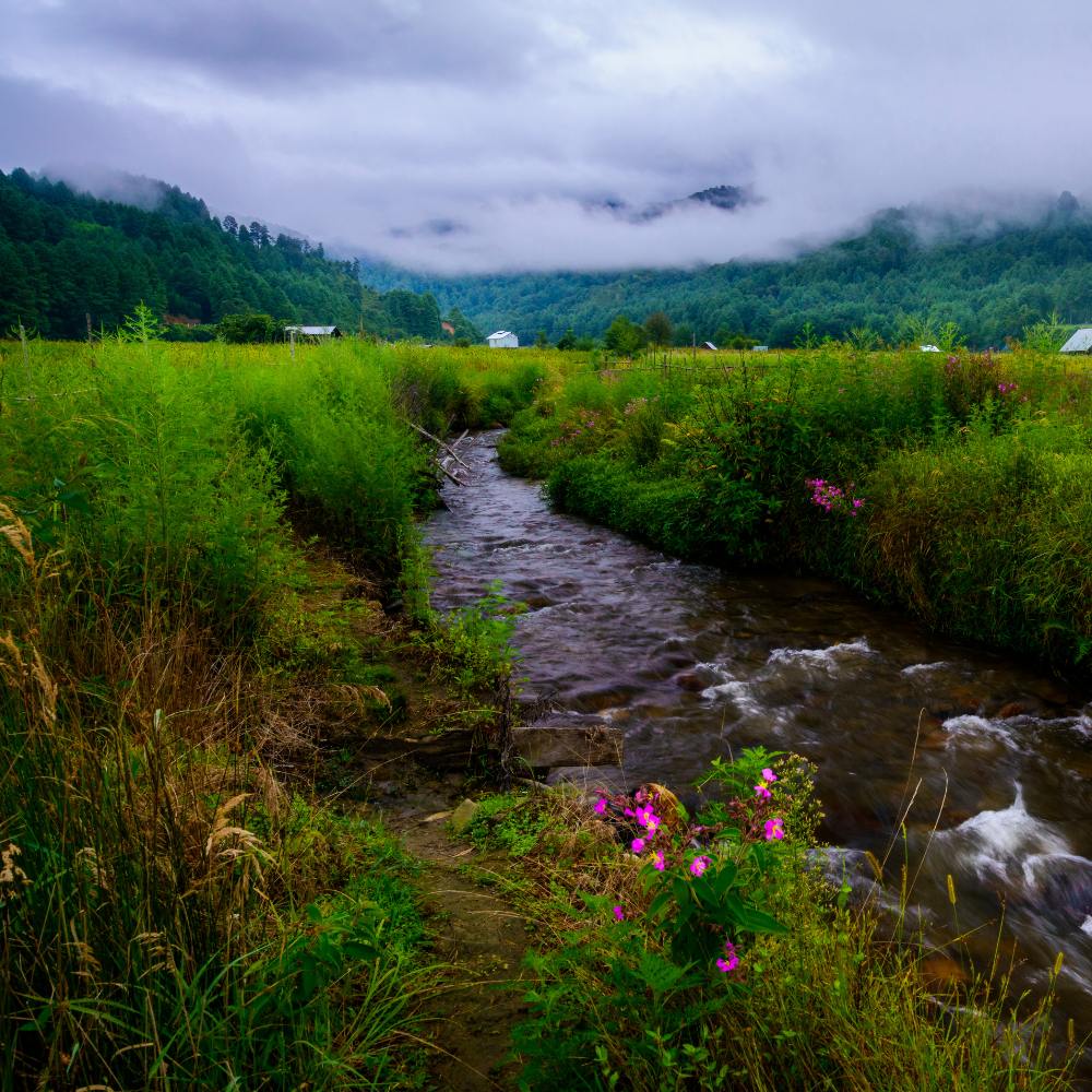 Ziro Valley, Arunachal Pradesh
