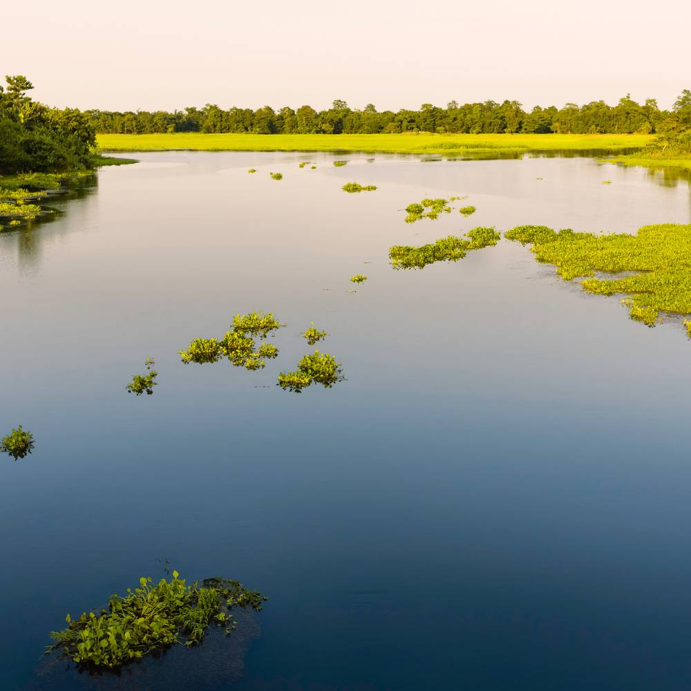 Assam's Majuli