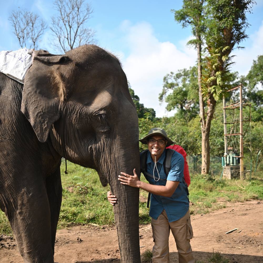 Dubare elephant camp Park in Karnataka