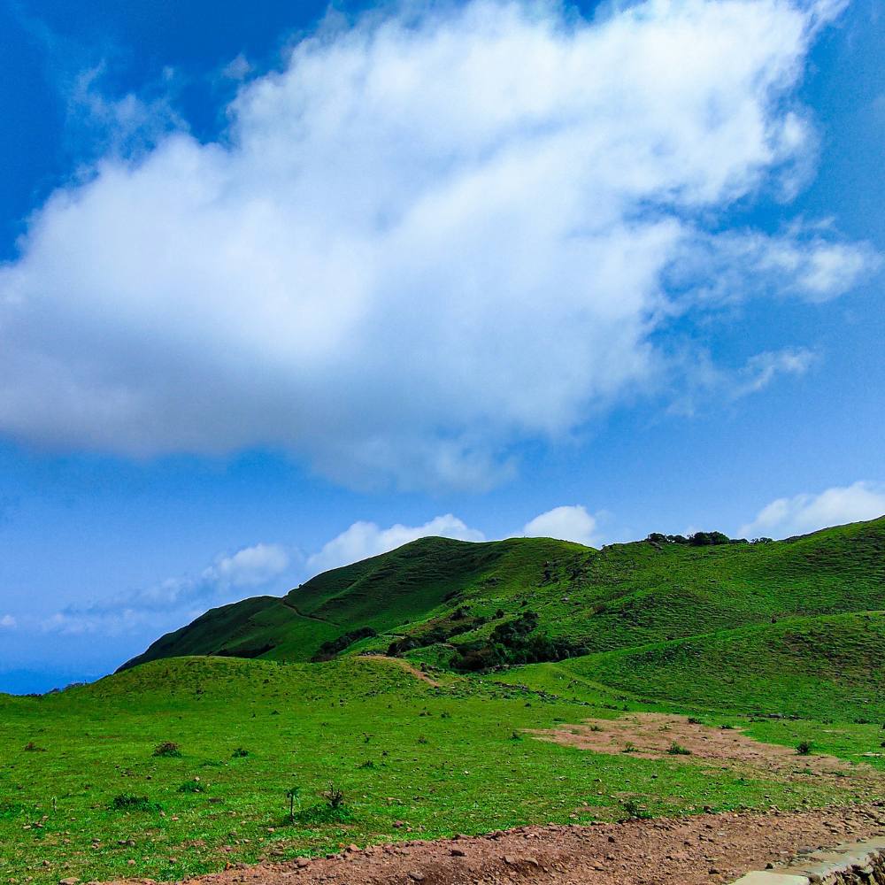 Mandalpatti