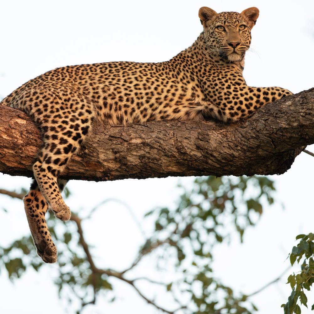 Sitamata Wildlife Sanctuary