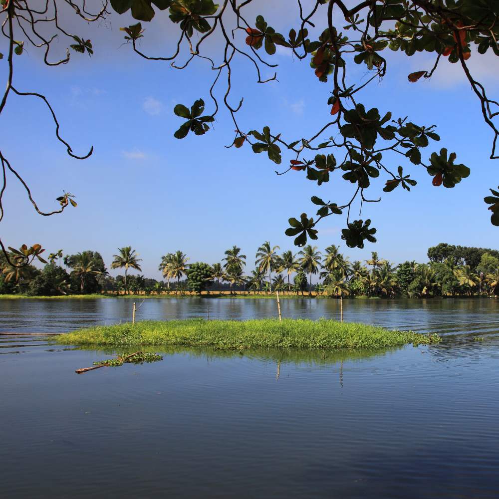 Kuttanad: Kerala's Flooded Farmland Fantasy