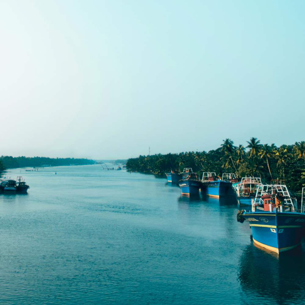 Ashtamudi Lake, Kollam, Kerala: Eight Arms of Monsoon Tranquility