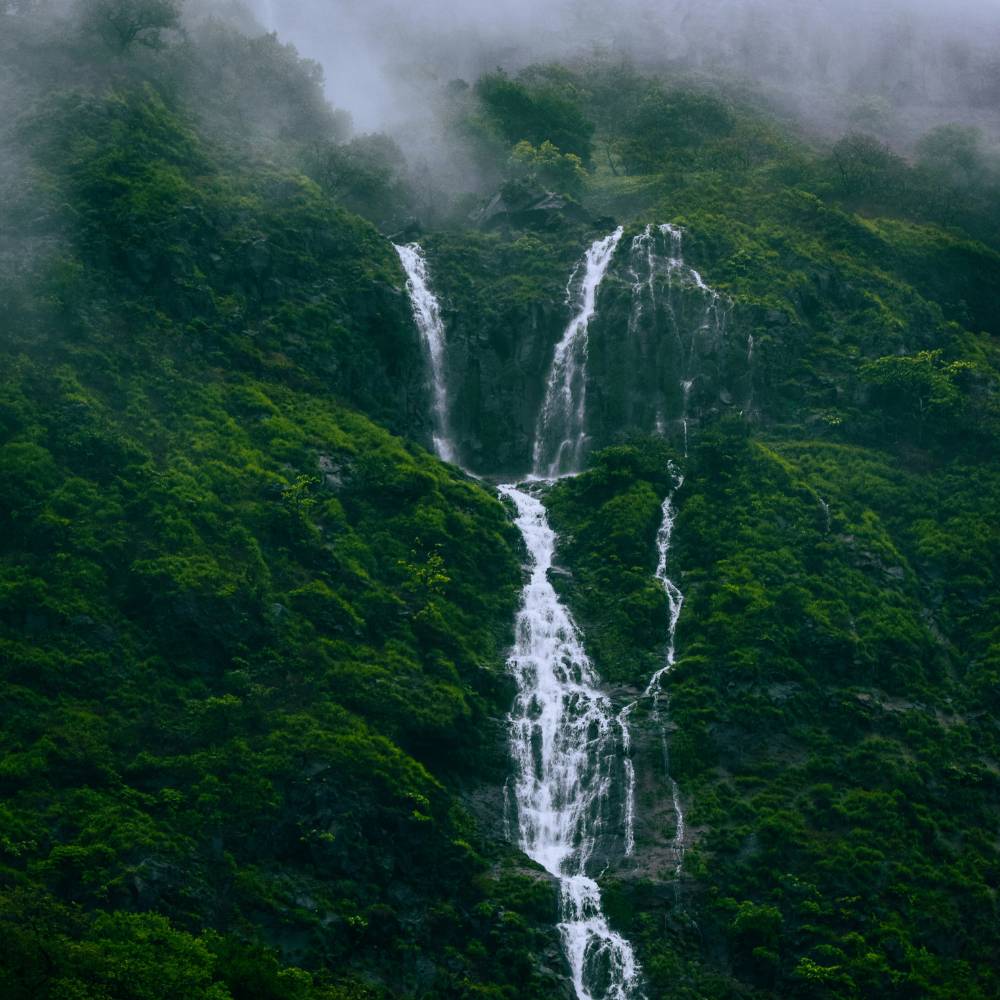 Tamhini Ghat, Maharashtra