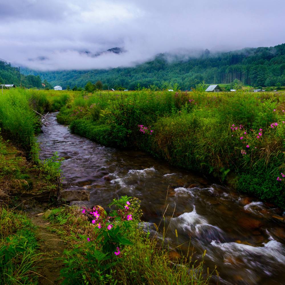 Ziro Valley, Arunachal Pradesh