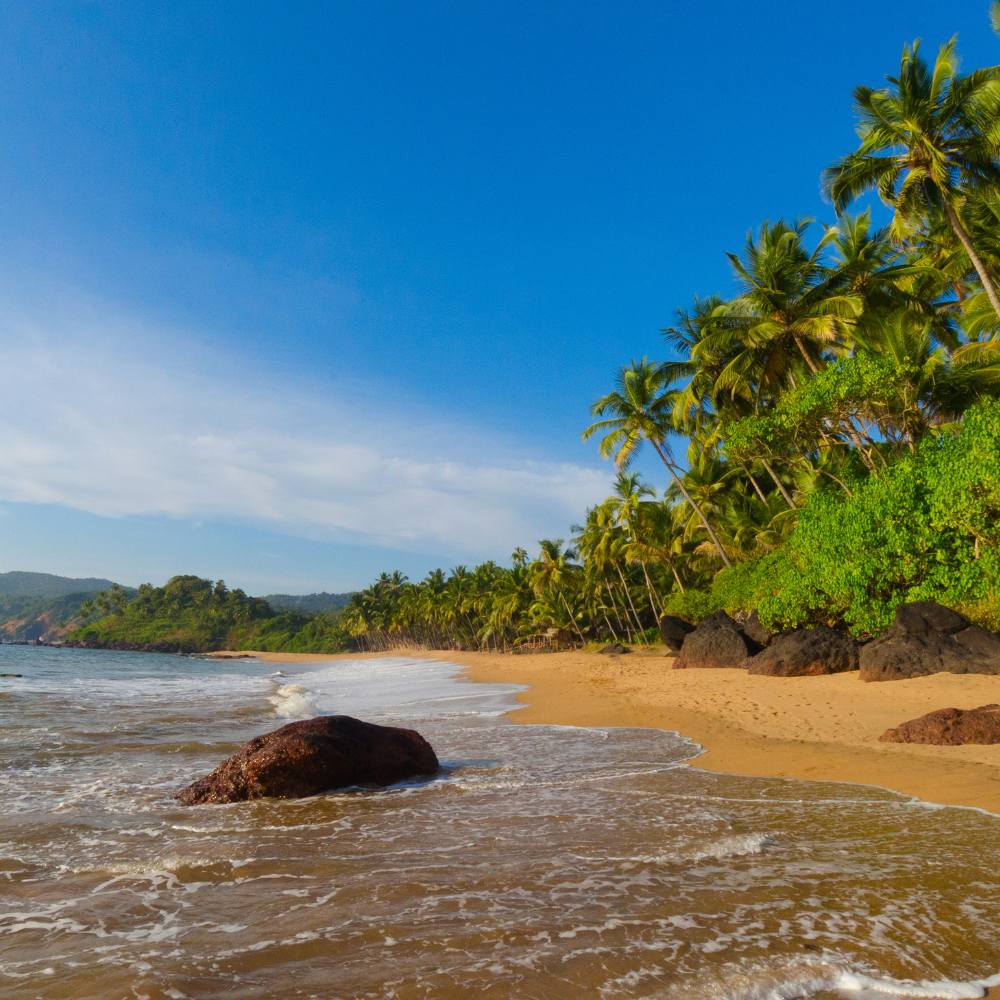 Goa: Where Sun, Sea, and Party Meet History