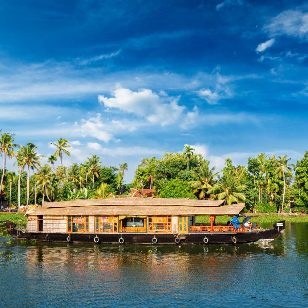 Kerala: Backwaters and Wildlife