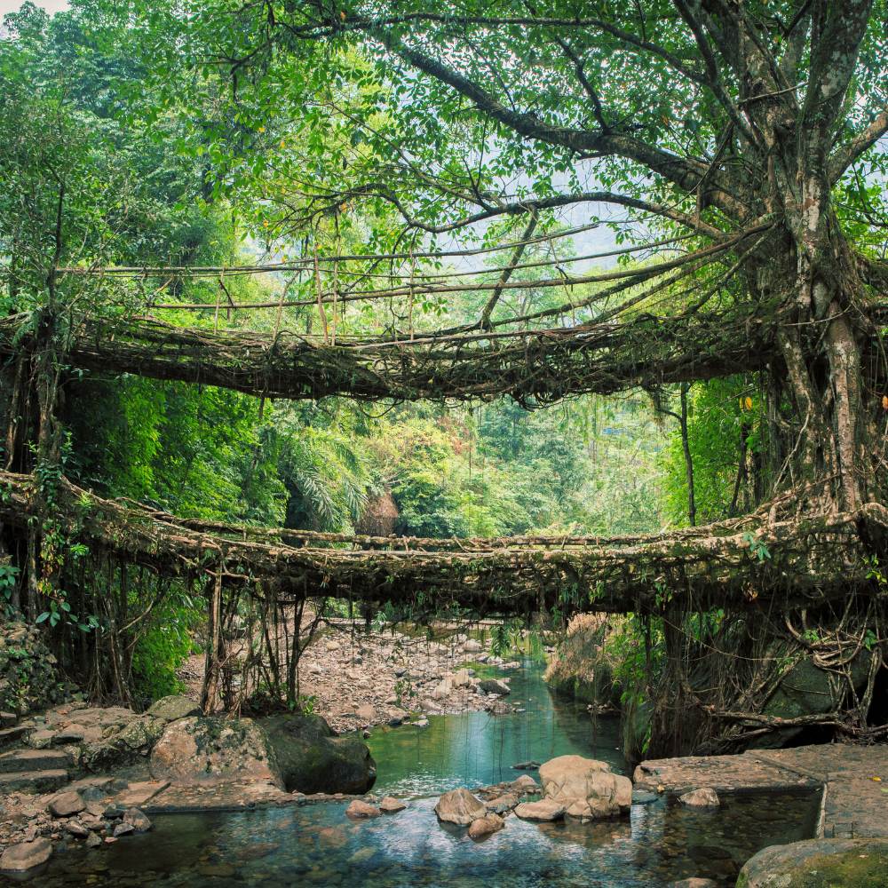 Meghalaya: Caving and Rainforest Treks