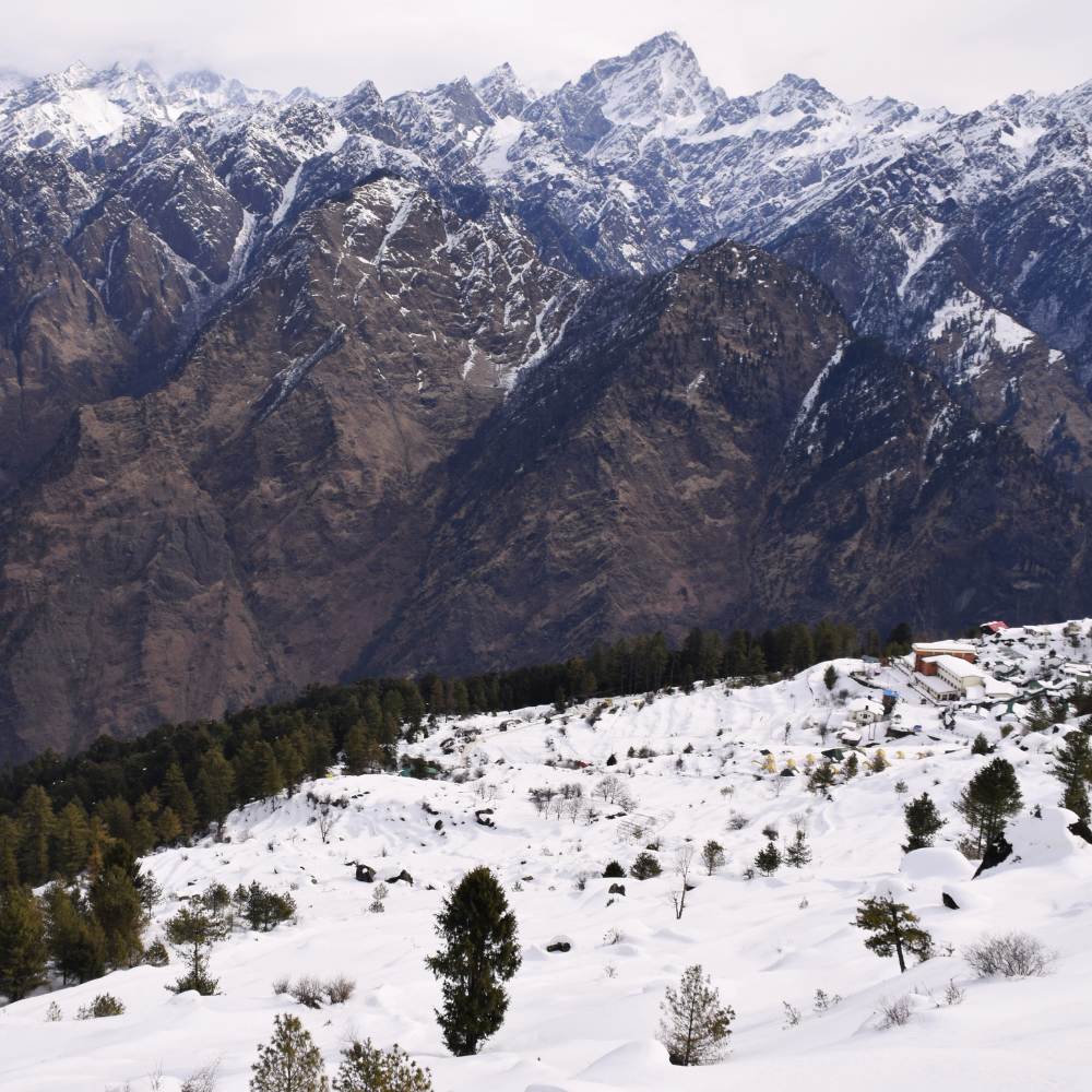Auli, Uttarakhand: India's Skiing and Flora Frontier