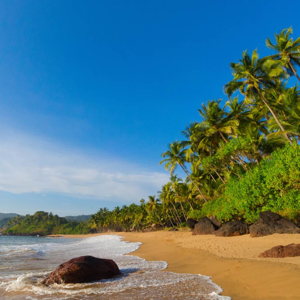 Goa: Laid-Back Luxury by the Sea