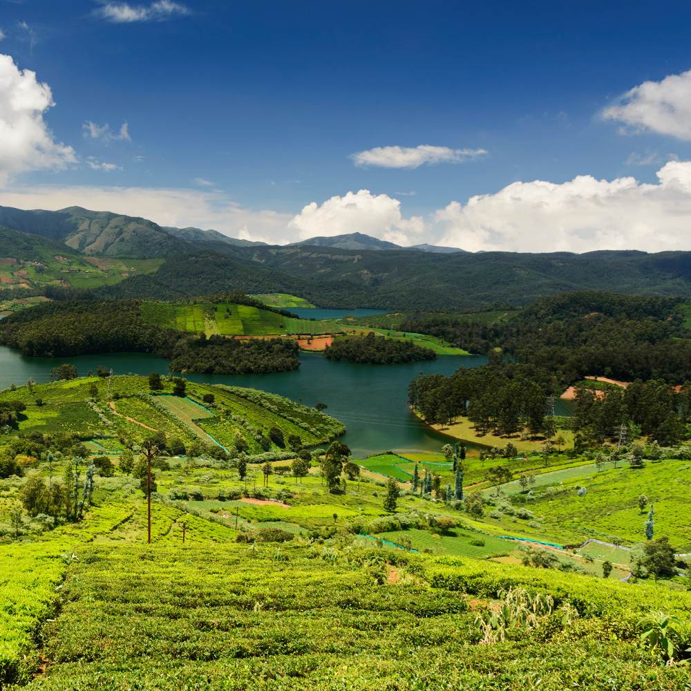 Ooty, Tamil Nadu (South India) also Known as the "Queen of the Nilgiris.