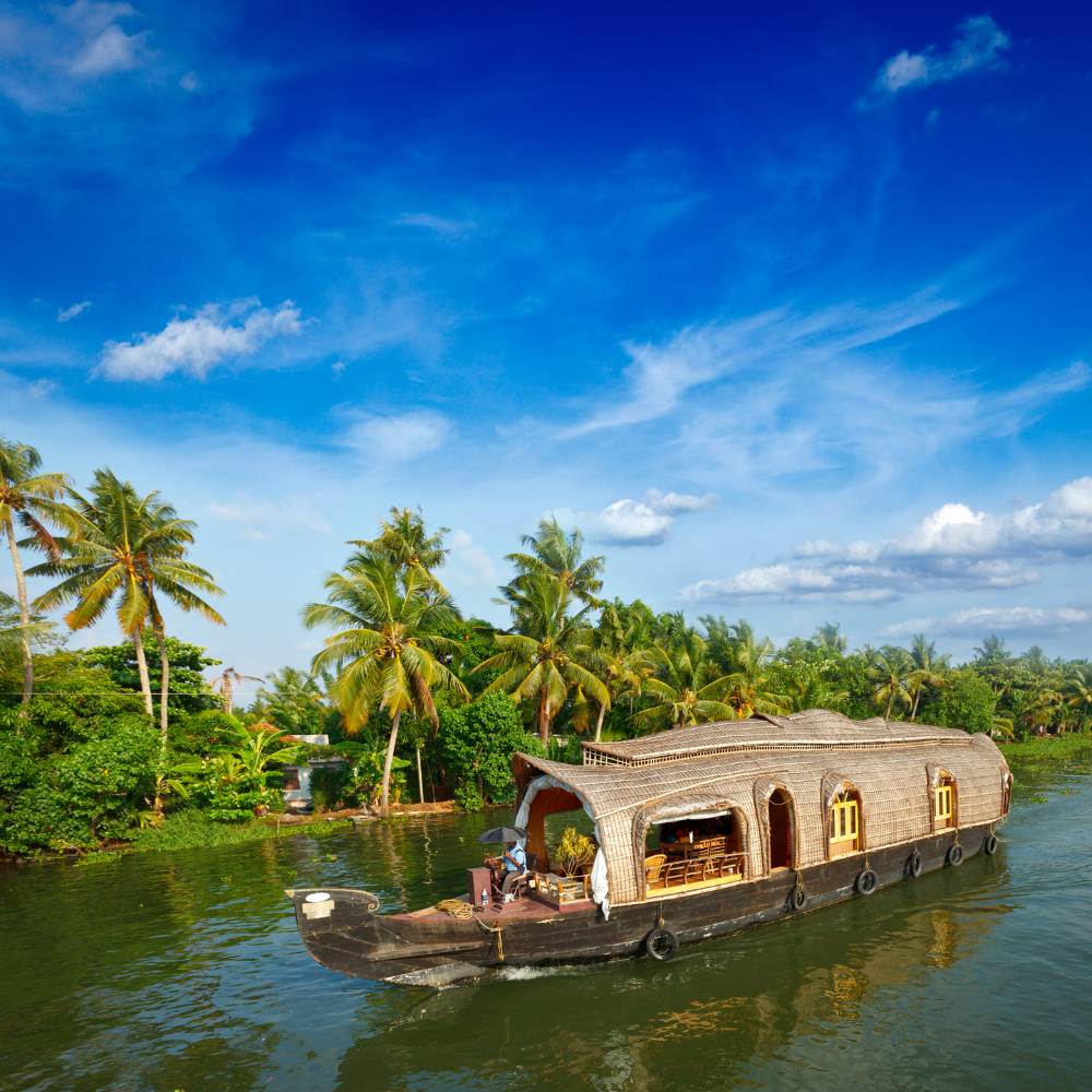Kerala is called "God's Own Country" for a reason—it's lush, peaceful, and rich in natural beauty.