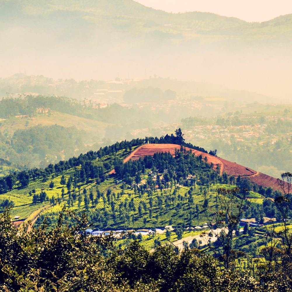 Doddabetta Peak – The Most Famous Ooty View Point