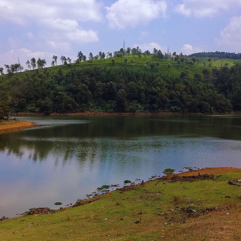Glenmorgan – A Hidden Gem Near Ooty