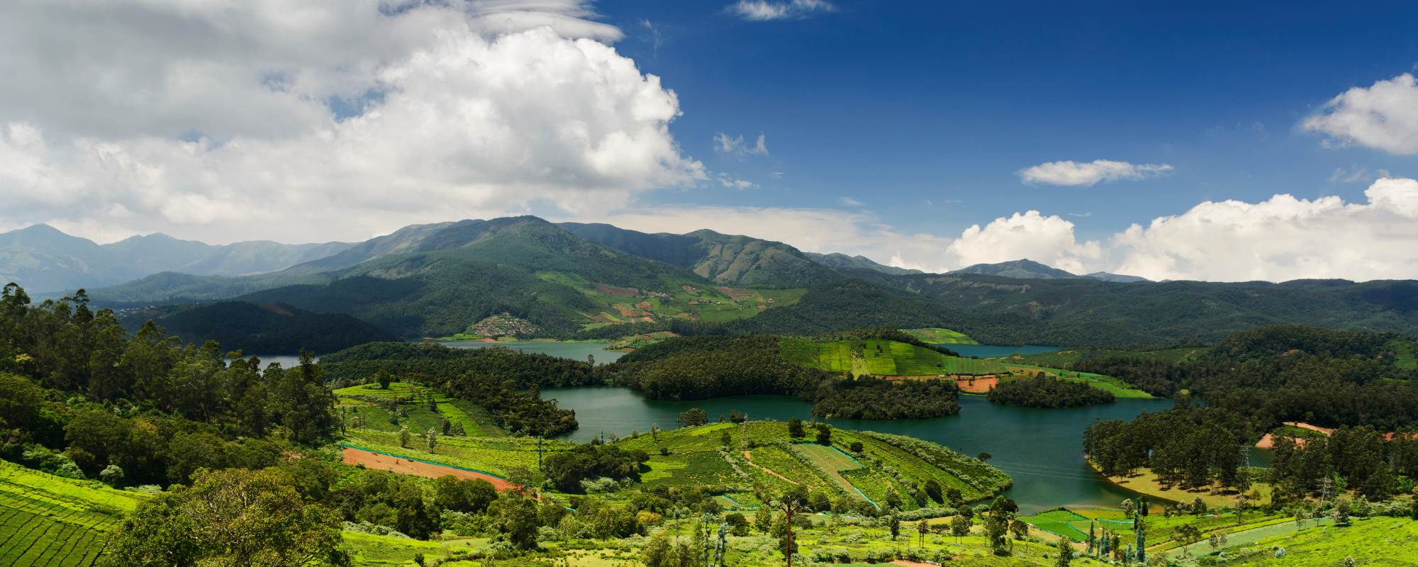 Top 10 Tourist Places in Ooty for a Scenic Holiday