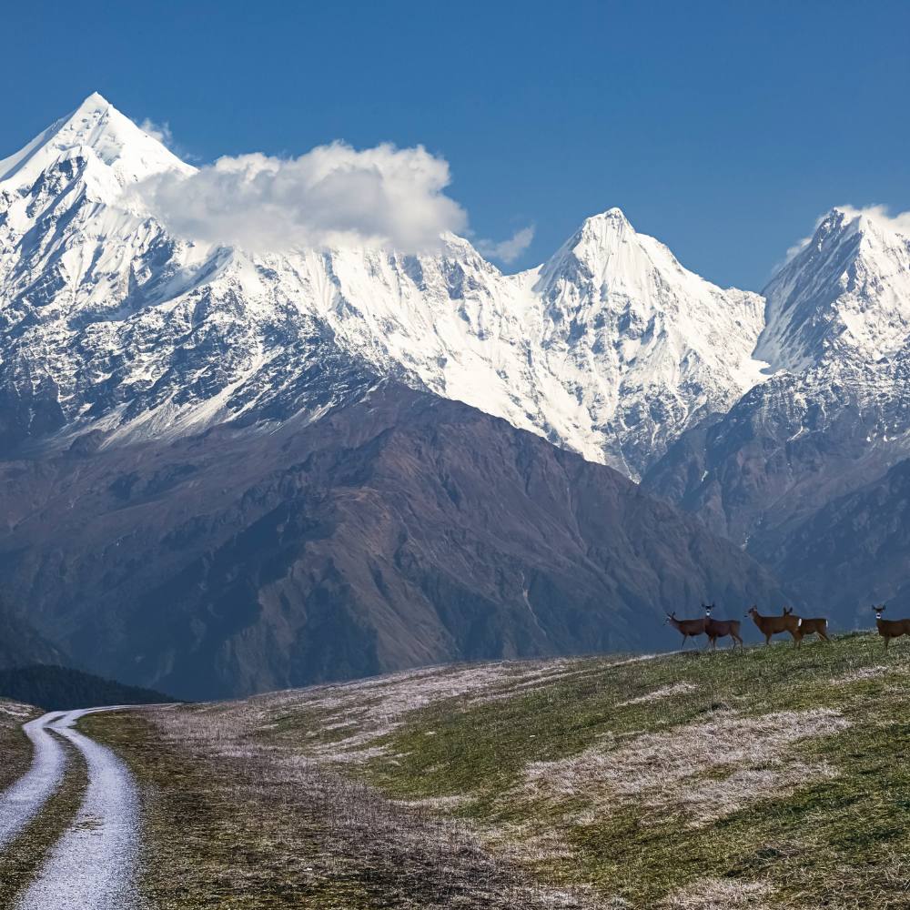 Almora, Munsiyari, and Hidden Gems of Uttarakhand