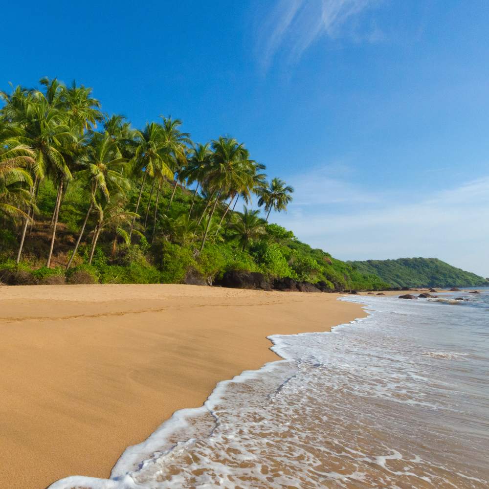 Goa – Social and Easygoing