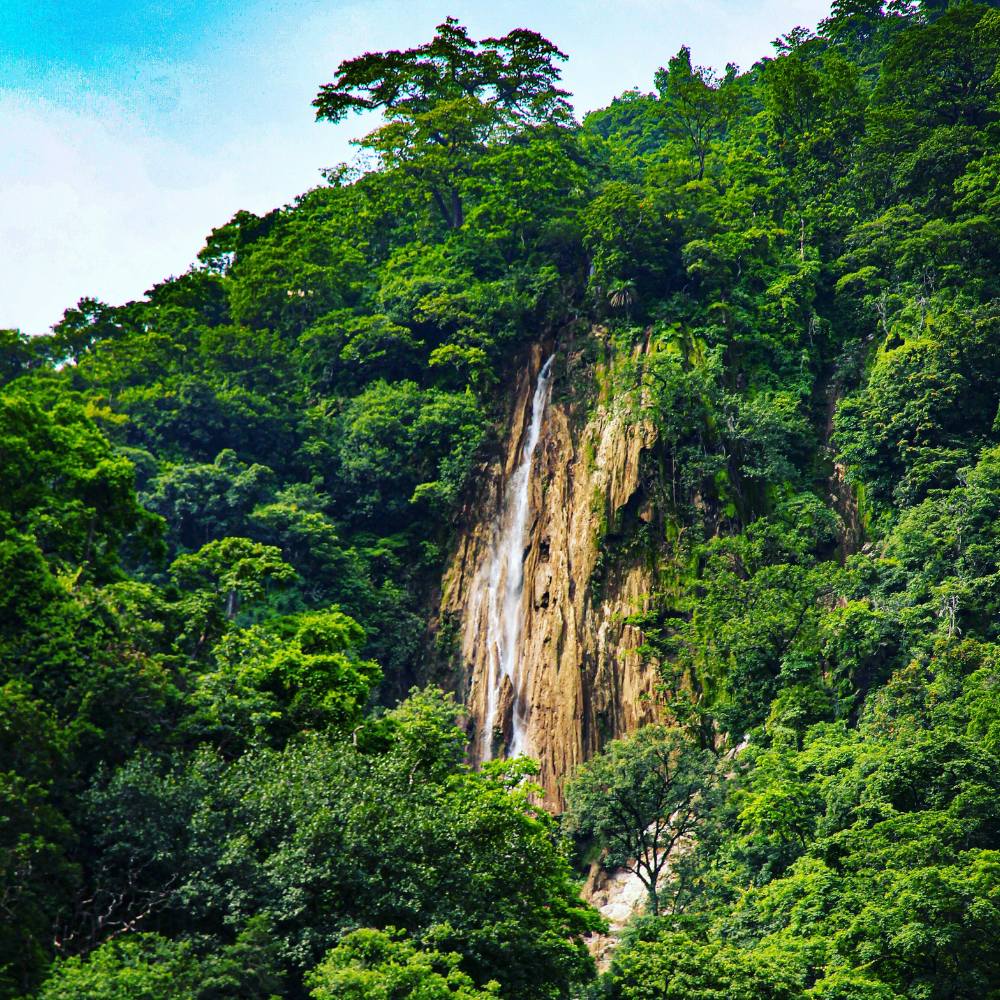 Neergarh Waterfall: The Limestone Escape