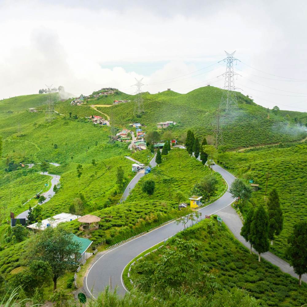 Darjeeling: The Queen of Hills