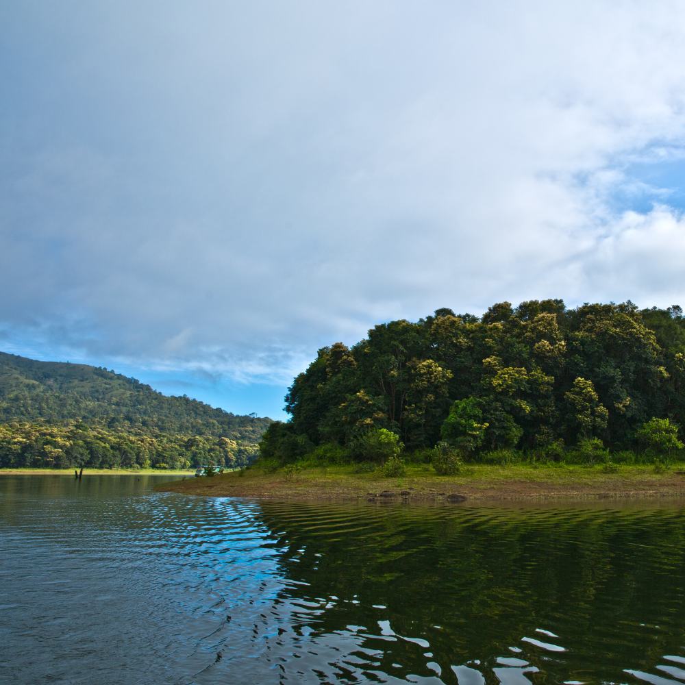 Periyar National Park, Kerala