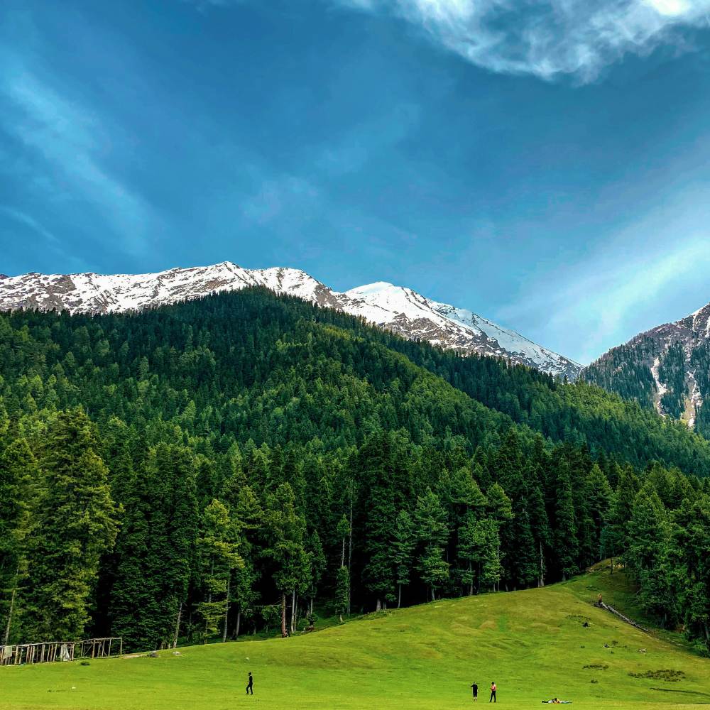 Pahalgam — The Valley of Shepherds 
