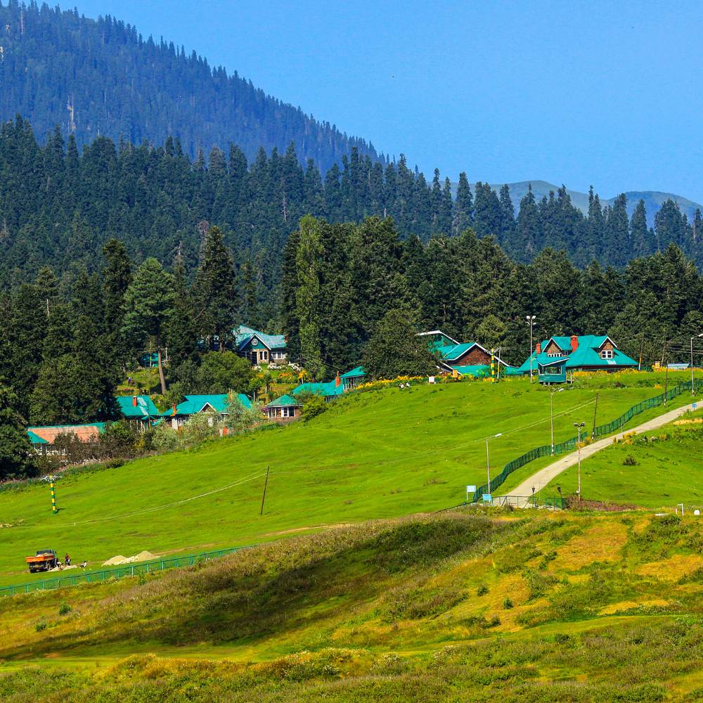Gulmarg — The Meadow of Flowers 