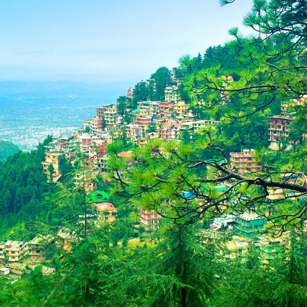 Dharamshala and McLeod Ganj - Little Lhasa of India 