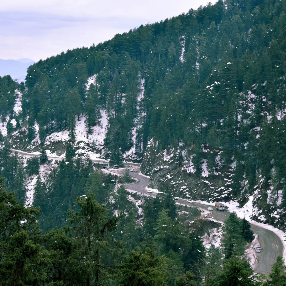 Kufri - Winter Sports and Family Fun 